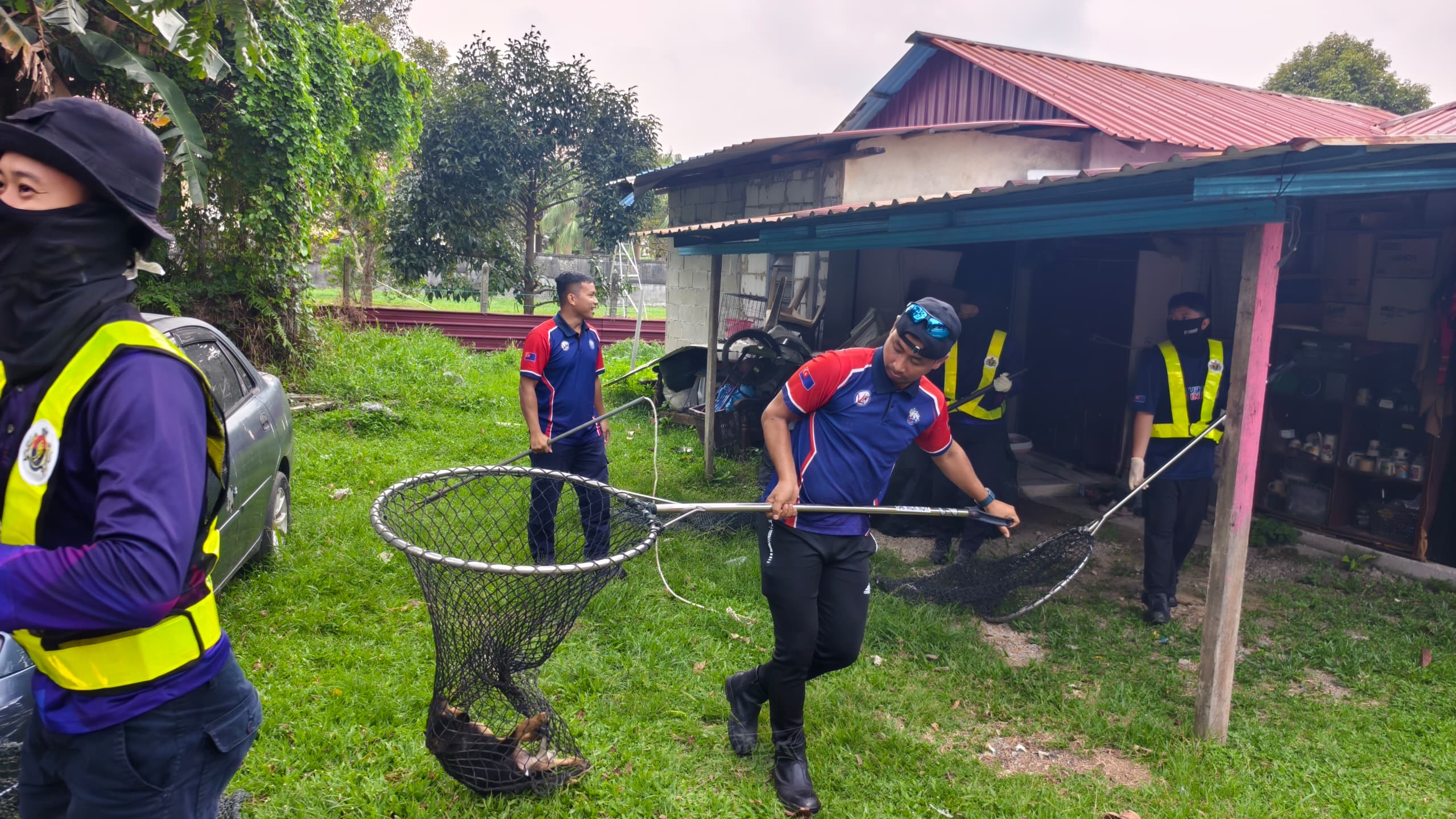 Keadaan selepas tindakan: Gangguan anjing liar dan pembiakan tidak terkawal
