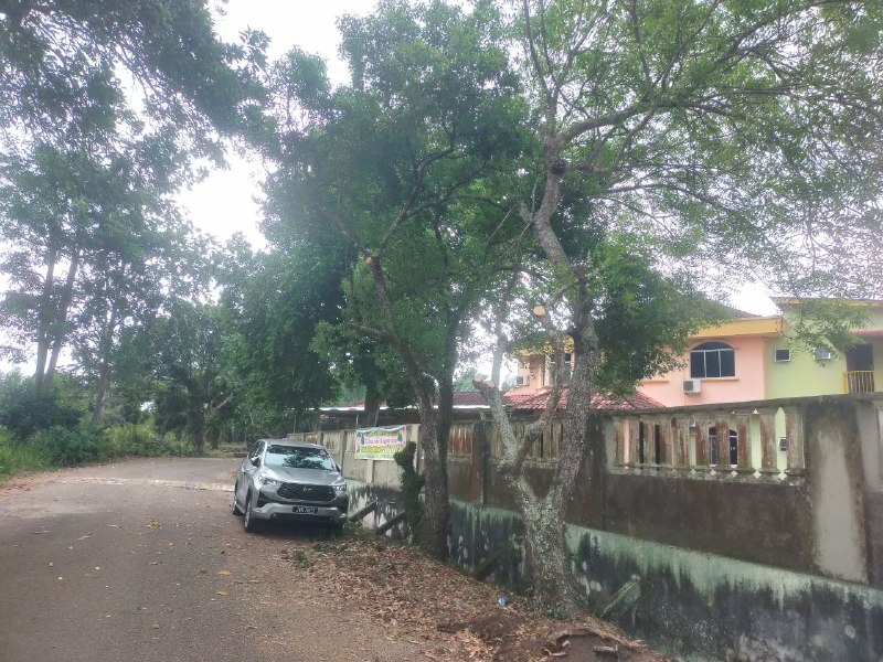 Keadaan selepas tindakan: PERMOHONAN CANTAS POKOK