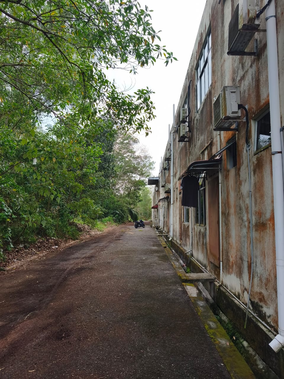 Keadaan selepas tindakan: Aduan kekotoran