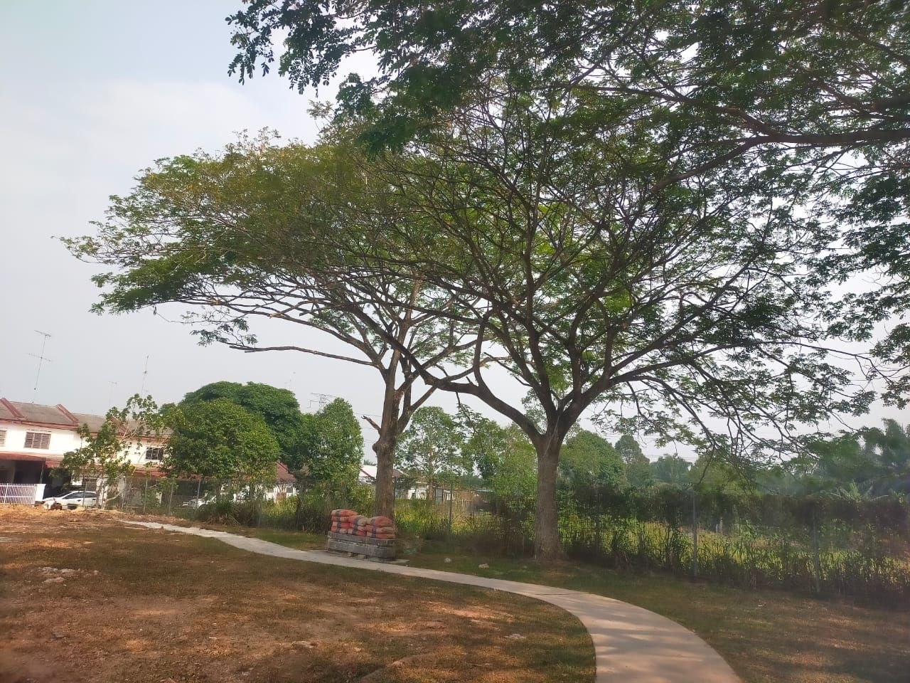 Keadaan selepas tindakan: PERMOHONAN CANTASAN POKOK