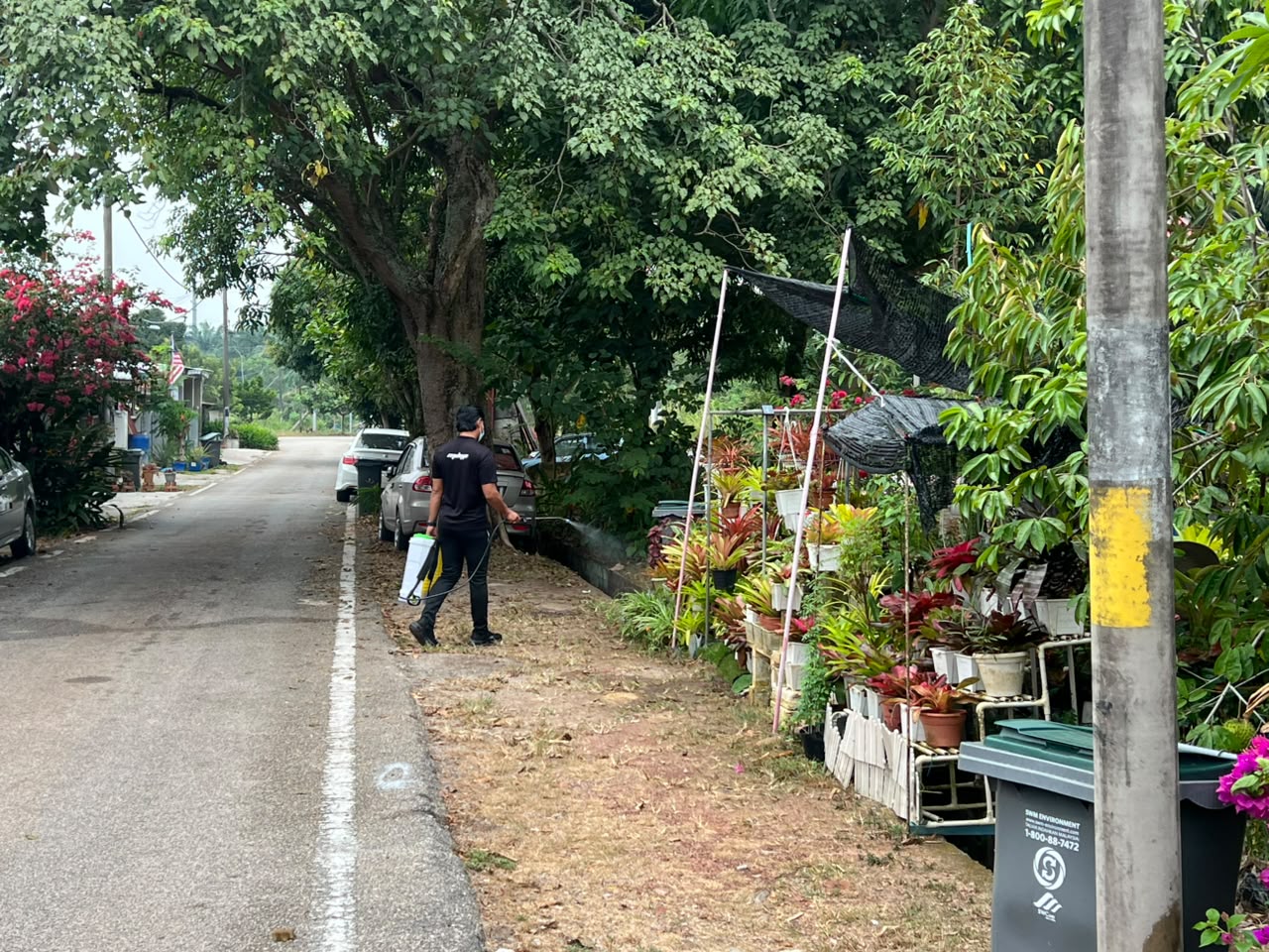 Keadaan selepas tindakan: Aduan nyamuk