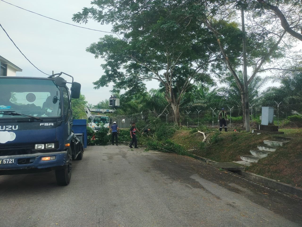 Keadaan selepas tindakan: Mohon Cantas Pokok